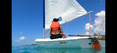 Clique para visualizar Dingue