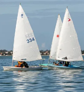 Clique para visualizar Dingue