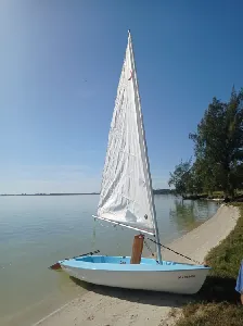 Clique para visualizar Dingue