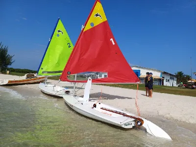 Clique para visualizar Orca