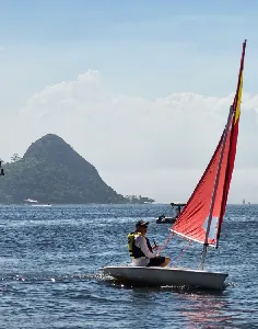 Clique para visualizar Orca