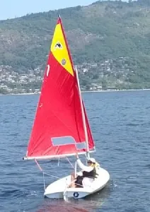 Clique para visualizar Orca