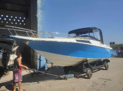 Clique para visualizar Cimitarra 250