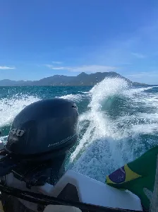 Clique para visualizar DUMAR 499