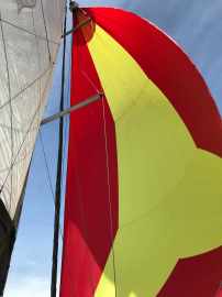Oceanis 41