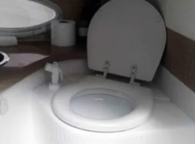 Clique para visualizar REAL POWERBOATS 250