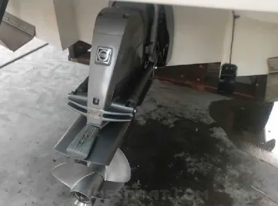 Clique para visualizar REAL POWERBOATS 250