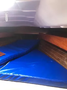 Clique para visualizar 23 pés Biquilha