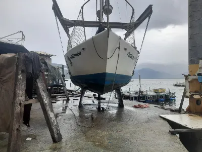 Clique para visualizar 23 pés Biquilha