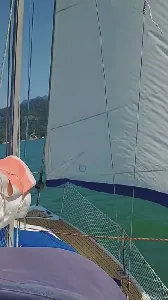 Clique para visualizar 23 pés Biquilha