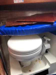 Clique para visualizar 23 pés Biquilha