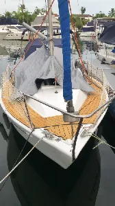 Clique para visualizar 23 pés Biquilha