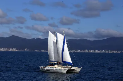 Clique para visualizar Catamarã Tiki 38 James Wharram