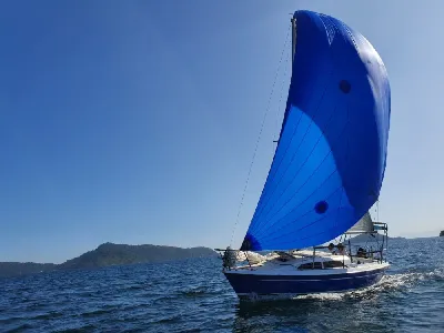 Clique para visualizar Gaivota 23