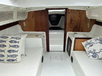 Clique para visualizar Gaivota 23