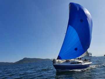 Gaivota 23