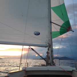 Gaivota 23