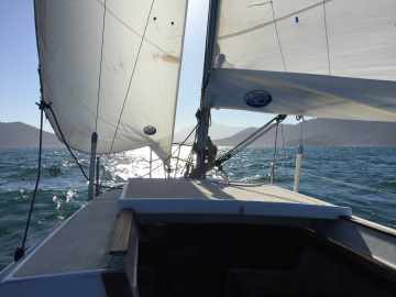 Gaivota 23