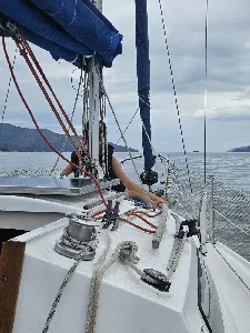 Clique para visualizar Fast 230