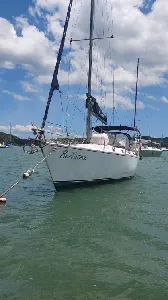 Clique para visualizar MJ 33