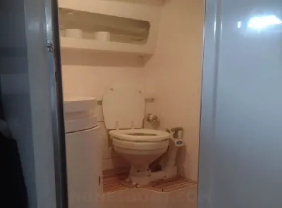 Clique para visualizar Scarab 38