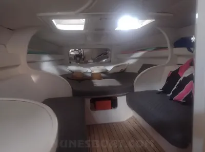 Clique para visualizar Scarab 38