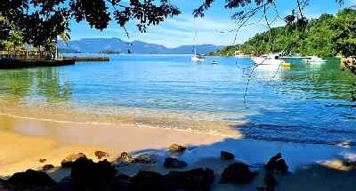 Clique para visualizar MJ 44