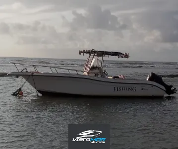 Clique para visualizar Fishing 265