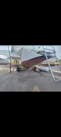 Trimaran 39