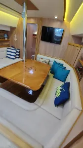 Clique para visualizar Delta 41