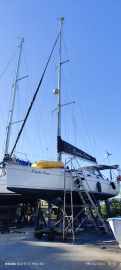 Delta 36