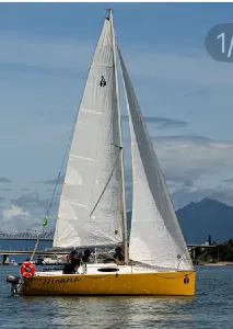 Clique para visualizar Sailor 19