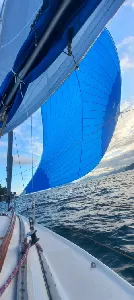 Clique para visualizar Fast 230