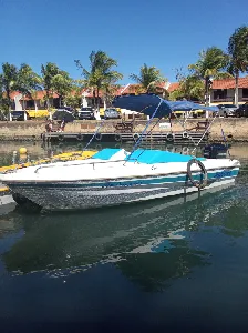 Clique para visualizar Coral 18