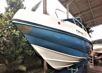 REAL 250 PRO FISH  + MWM Sprinter 260 Diesel 