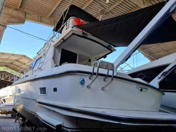 Oceanic 36