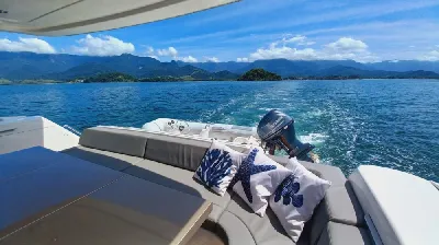 Clique para visualizar Schaefer 620