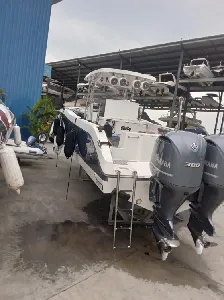 Clique para visualizar Fishing 32