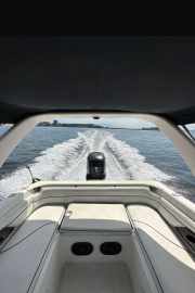 Phantom 235