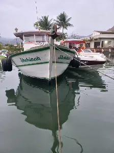 Clique para visualizar Traineira Madeira