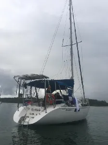 Clique para visualizar Fast 310