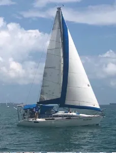 Clique para visualizar Fast 310