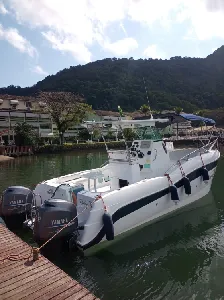 Clique para visualizar Thop Cat Fishing 3.0