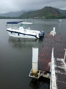 Clique para visualizar Thop Cat Fishing 3.0