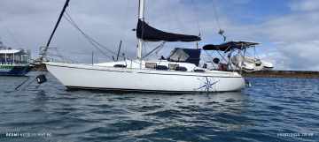 Brasilia 32
