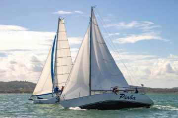 31299-25095-2025783747-4.jpg