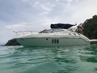 Clique para visualizar Phantom 300 Gasolina