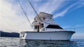 ocean pro 50