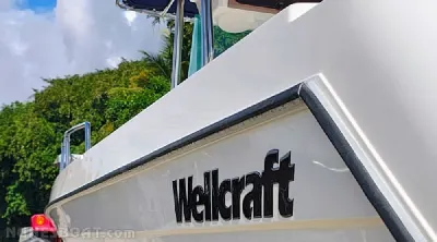 Wellcraft 26