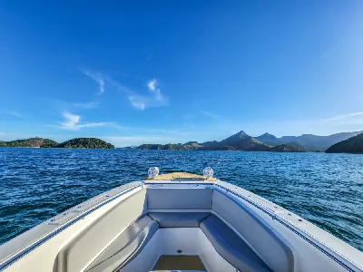 Clique para visualizar FISHING 410 SOLARIUM